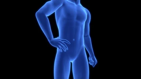 Human Suffering with Severe Pain in Hip Anatomy Animation Concept Stock Footage 307405311