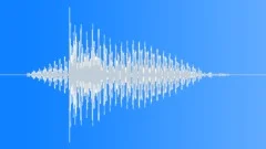 HUMAN, SWALLOW Sound Effect
