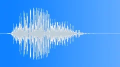 HUMAN, SWALLOWSound Effect