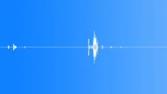HUMAN, SWALLOWSound Effect