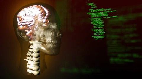 Human system and program codes Stock Footage 106225845