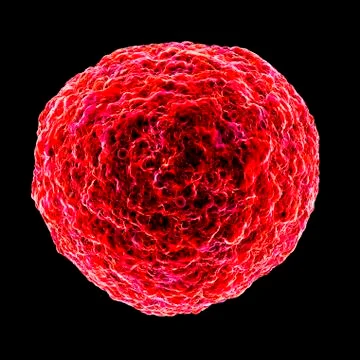 Human t-cell leukemia virus, artwork Stock Illustration