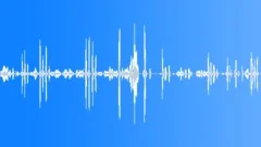 HUMAN, TALKSound Effect