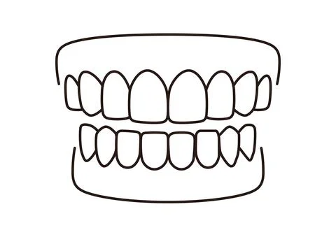 Human teeth model icon, vector illustration Stock Illustration