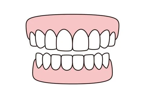 Human teeth model icon, vector illustration Stock Illustration