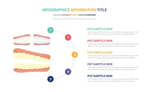 Human teeth tooth structure infographic template concept with five points lis Stock Illustration