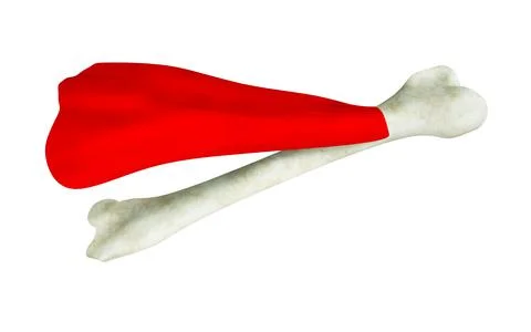 Human thigh bone in red superhero cape on white background. Stock-Illustration