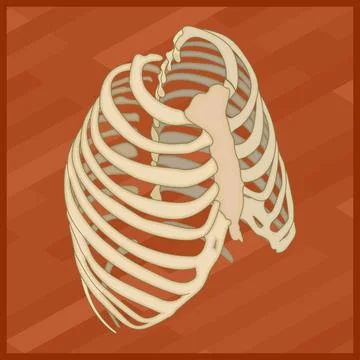 Human thorax flat isometric icon Human thorax flat isometric icon. Protext... Foto stock