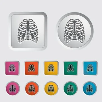 Human thorax Stock Illustration