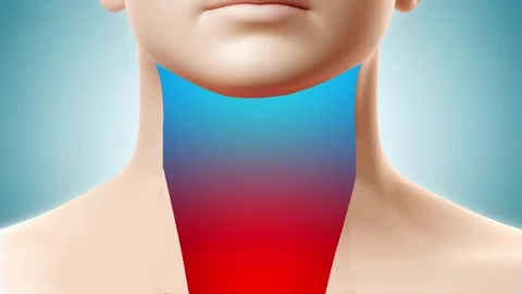 Human Throat Anatomy with Inflammation Visualization Stock Footage 317144533