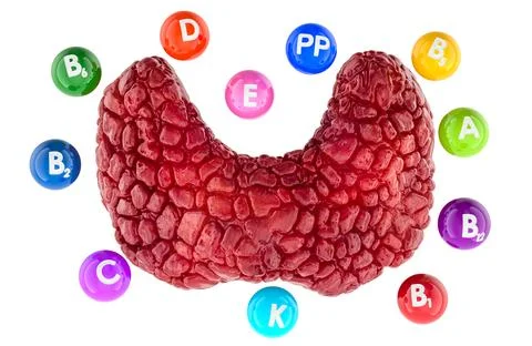Human thyroid with different vitamins. 3D rendering Stock Illustration