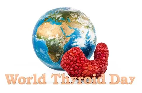 Human Thyroid with Earth Globe. World Thyroid Day, concept. 3D rendering Stock Illustration