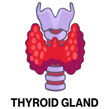 Human thyroid gland vector icon Stock Illustration
