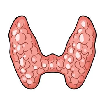 Human thyroid icon in cartoon style isolated on white background. Human organs Stock Illustration