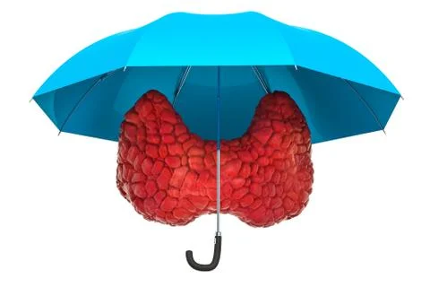 Human thyroid under umbrella, protect concept. 3D rendering isolated on white Stock Illustration