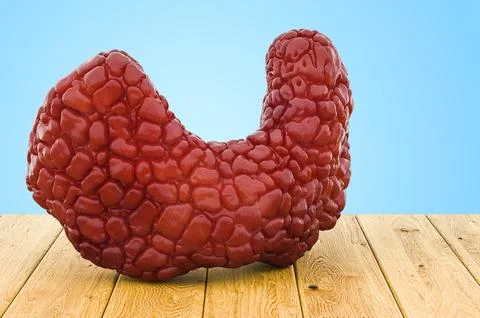 Human thyroid on the wooden table, 3D rendering Stock Illustration