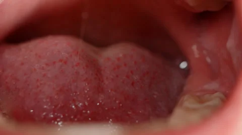 Human Tongue Stock Footage 32818898