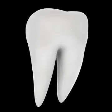 Human tooth 3D render isolated Stock Illustration