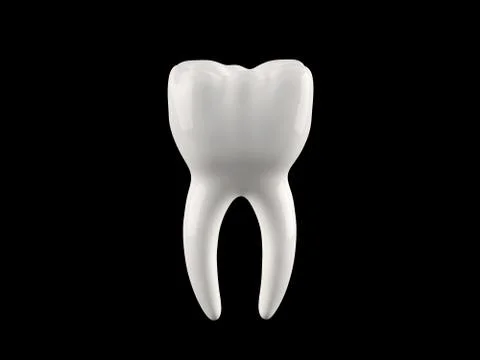 Human tooth Stock Illustration