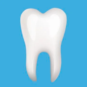 Human tooth illustration. Stock Illustration