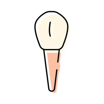 Human tooth structure with root and enamel Stock Illustration