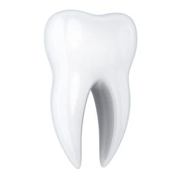 Human tooth white on isolated white background. 3d illustration Stockillustratie