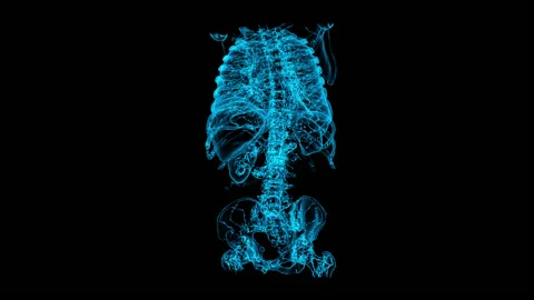 Human Torso Video stock 133101596