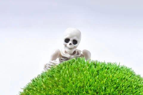Human toy skeleton lying on front on moss, spooky playing hide and seek Photos