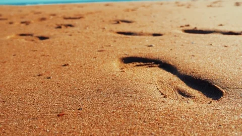 Human traces on the sand Stock Footage 85446222