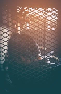 Human trafficking Фото