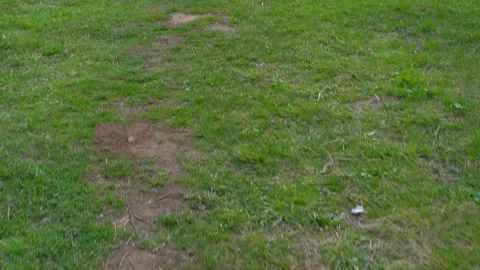 A human trail to the edge of the hill. Stock Footage 240395137