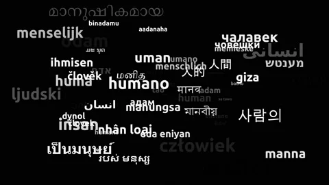 Human Translated in 67 Worldwide Languages Endless Looping 3d Zooming Wordclo Stock-Footage 145212745