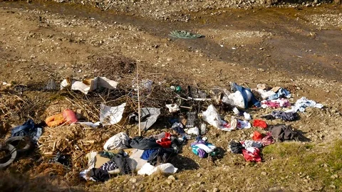 Human trash near clean small creek Stock Footage 126285995