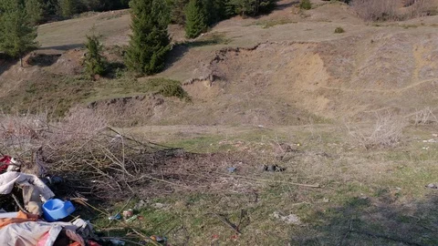 Human trash near pine forest Stock Footage 105629876