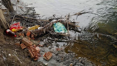 Human trash in Olt river Stock Footage 103130272
