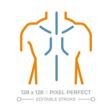 Human upper body two color line icon Stock Illustration