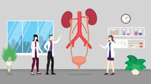 Human ureter anatomy structure system health care checkup analysis identifyin Illustrazione stock