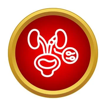 Human urinary and reproductive systems medical icon Stock Illustration