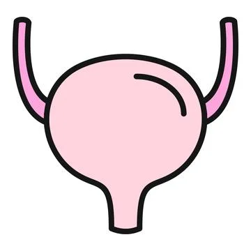 Human urinary bladder representing anatomy and urology Stock Illustration
