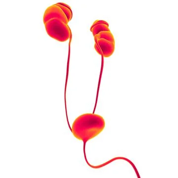 Human Urinary System Kidneys with Bladder Anatomy For Medical Concept 3D Rend 스톡 일러스트