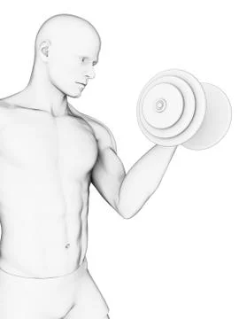Human using hand weight, artwork Stock Illustration