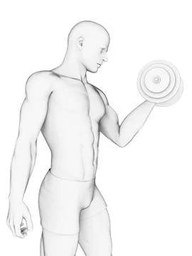 Human using hand weight, artwork Stock Illustration