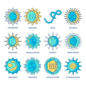 Human virus types icon set in colored line style Stock Illustration