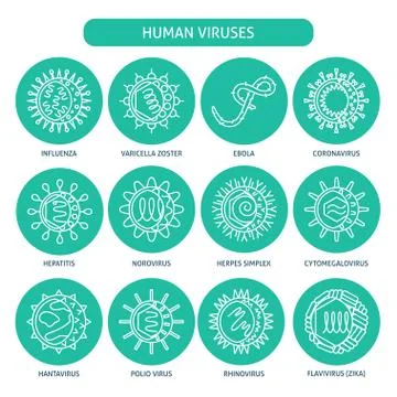 Human virus types icon set in thin line style Stock Illustration