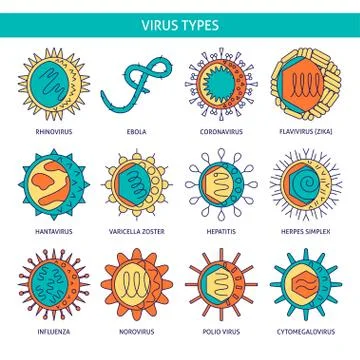 Human viruses icon set in colored line style Stock Illustration