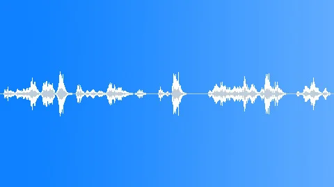 HUMAN VOCAL Pair Argument Distant 01 Sound Effect