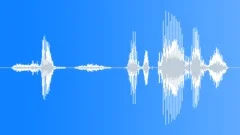 HUMAN, VOCAL Sound Effect