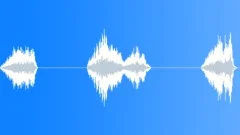 HUMAN, VOCALSound Effect
