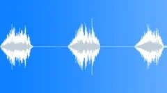 HUMAN, VOCALSound Effect