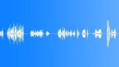 HUMAN, VOCALSound Effect